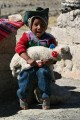 Arequipa to Chivas, shepherd boy